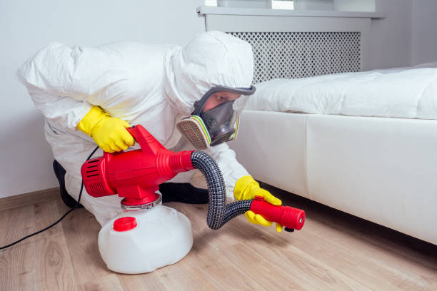 Best Emergency Pest Control  in Piney Mountain, VA