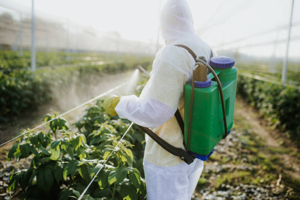 Best Best Pest Control Companies  in Piney Mountain, VA